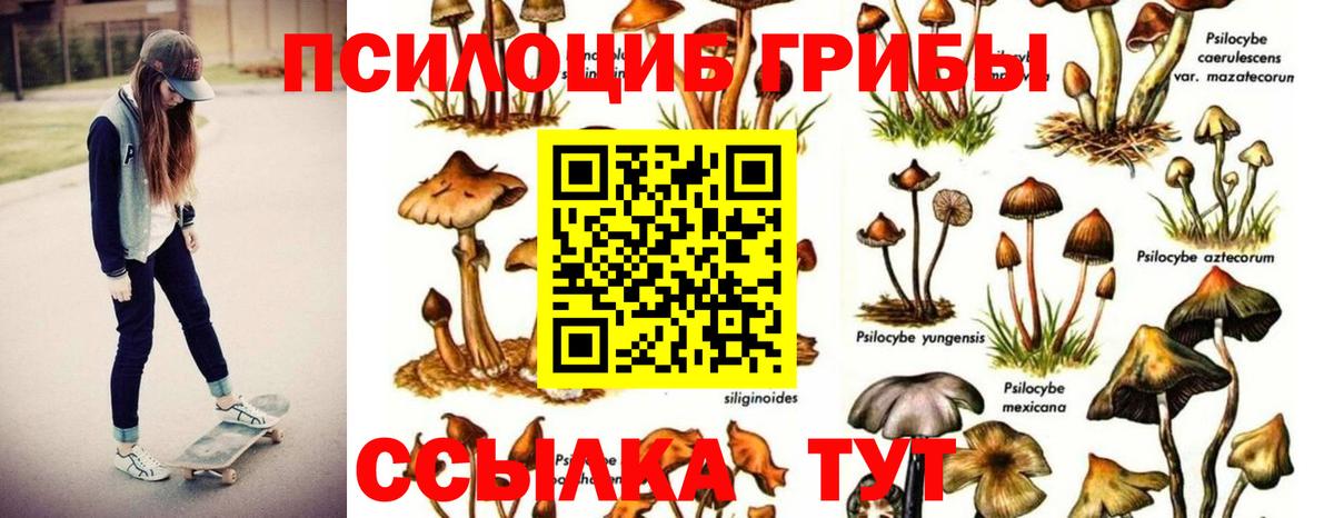 Конопля Когалым
